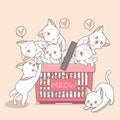 Adorable cats in the pink basket