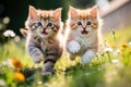 Adorable Cats at Pla. Whiskered Charmers in Action. AI Generated Royalty Free Stock Photo