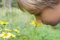 Adorable caucasian boy smelling yellow flowers. Close up