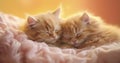 The adorable and charming moments of kittens, melting hearts with their cuteness. Generative AI