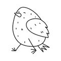 Adorable chick. Hand drawn doodle style. Vector illustration isolated on white. Coloring page. Royalty Free Stock Photo