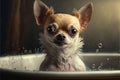 Adorable Chihuahua dog in a bath, vintage setting