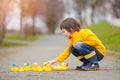 Adorable child, boy, playing in park with rubber ducks, having f
