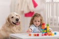 adorable child with curly hair playing with educational cubes, golden retriever sitting near table