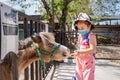 Adorable child girl feeding horse or pony with a carrot on the field or farm at bright sunny Royalty Free Stock Photo