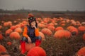 Adorable child having fun with pumpkin on pumpkinpatch on farm. Royalty Free Stock Photo