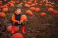 Adorable child having fun with pumpkin on pumpkinpatch on farm.