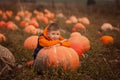 Adorable child having fun with pumpkin on pumpkinpatch on farm.