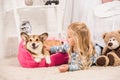 Adorable child in pajamas stroking welsh corgi dog