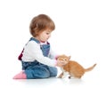 Adorable child playing with cat kitten Royalty Free Stock Photo