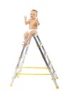 Adorable child sitting on top of stepladder