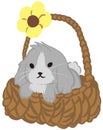 Bunny Sitting In a Basket