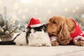 Adorable Cocker Spaniel dog with cat in Christmas sweater and Santa hat near decorative fir tree Royalty Free Stock Photo