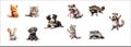 Adorable Collection of Illustrated Baby Animals Including Kittens, Puppies, Raccoons, and a Mouse, Isolated on a White