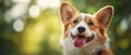 The adorable corgi displaying a joyful expression in a vibrant outdoor setting. AI generated image Royalty Free Stock Photo