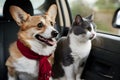 Adorable corgi dog and cat enjoy car ride together, creating heartwarming moment