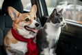 Adorable corgi dog and cat enjoy car ride together, creating heartwarming moment