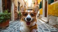 Adorable corgi dog in stylish summer outfit taking selfie in venice. Travel and lifestyle concept