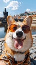 Adorable corgi dog in summer outfit snapping selfie while exploring prague. Perfect travel concept