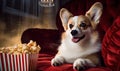 Adorable corgi enjoys popcorn on a cozy couch, ready for TV time. AI generative