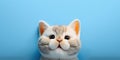 adorable cute cat isolated on blue background with copy space generative ai Royalty Free Stock Photo