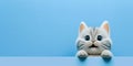 adorable cute cat isolated on blue background with copy space generative ai Royalty Free Stock Photo