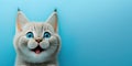 adorable cute cat smiling and isolated on blue background with copy space generative ai Royalty Free Stock Photo
