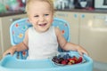 Adorable cute caucasian blond toddler boy enjoy tasting different seasonal fresh ripe organic berries sitting in highchair at home Royalty Free Stock Photo