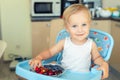 Adorable cute caucasian blond toddler boy enjoy tasting different seasonal fresh ripe organic berries sitting in highchair at home Royalty Free Stock Photo