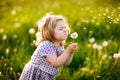 Adorable cute little baby girl blowing on a dandelion flower on the nature in the summer. Happy healthy beautiful Royalty Free Stock Photo