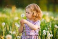 Adorable cute little baby girl blowing on a dandelion flower on the nature in the summer. Happy healthy beautiful Royalty Free Stock Photo