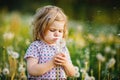 Adorable cute little baby girl blowing on a dandelion flower on the nature in the summer. Happy healthy beautiful Royalty Free Stock Photo