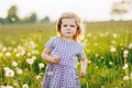 Adorable cute little baby girl blowing on a dandelion flower on the nature in the summer. Happy healthy beautiful Royalty Free Stock Photo