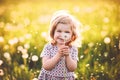 Adorable cute little baby girl blowing on a dandelion flower on the nature in the summer. Happy healthy beautiful Royalty Free Stock Photo