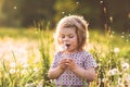 Adorable cute little baby girl blowing on a dandelion flower on the nature in the summer. Happy healthy beautiful Royalty Free Stock Photo