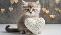 Adorable cute little kitten with a white openwork heart, cat love concept, Valentine\'s Day, love symbol Royalty Free Stock Photo