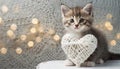 Adorable cute little kitten with a white openwork heart, cat love concept, Valentine\'s Day, love symbol Royalty Free Stock Photo