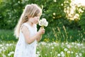 Adorable cute little preschool girl blowing on a dandelion flower on the nature in the summer. Happy healthy beautiful Royalty Free Stock Photo