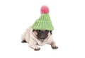 Adorable cute pug dog puppy lying down wearing knitted green hat with pink pompon, isolated on white background Royalty Free Stock Photo