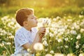 Adorable cute school boy blowing on a dandelion flower on the nature in the summer. Happy healthy beautiful child with Royalty Free Stock Photo