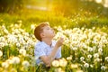 Adorable cute school boy blowing on a dandelion flower on the nature in the summer. Happy healthy beautiful child with Royalty Free Stock Photo