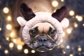 Adorable cute small festive French Bulldog dog dressed up as reindeer with plush antler headband looking up