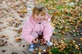 Adorable cute toddler girl picking chestnuts in a park on autumn day. Happy child having fun with searching chestnut and