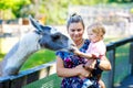 Adorable cute toddler girl and young mother feeding lama on a kids farm. Beautiful baby child petting animals in the zoo Royalty Free Stock Photo