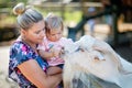 Adorable cute toddler girl and young mother feeding little goats and sheeps on kids farm. Beautiful baby child petting Royalty Free Stock Photo