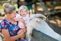 Adorable cute toddler girl and young mother feeding little goats and sheeps on kids farm. Beautiful baby child petting Royalty Free Stock Photo