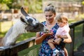 Adorable cute toddler girl and young mother feeding little goats and sheeps on kids farm. Beautiful baby child petting Royalty Free Stock Photo