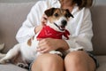 Adorable dog in arms of its loving owner. Loving dog in his owner& x27;s arms at home