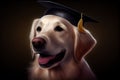 Adorable dog with black graduation cap