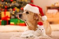 Adorable dog and cat wearing Santa hats together at room decorated for Christmas